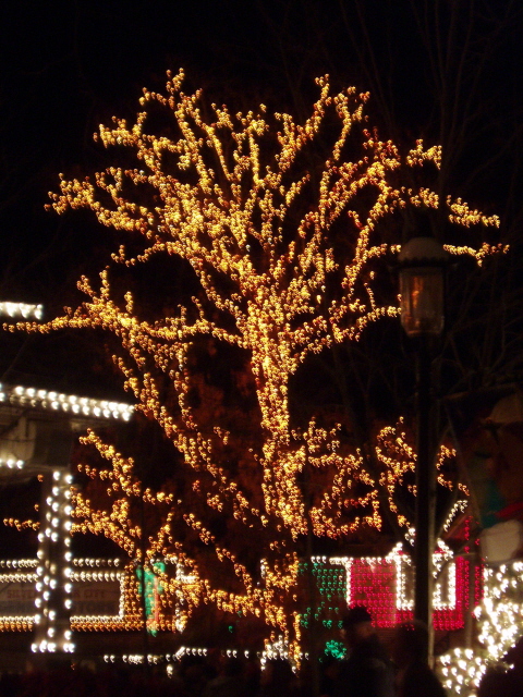Tree of Light
